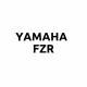 Yamaha FZR Parts