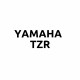 Yamaha TZR Parts